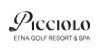 Picc