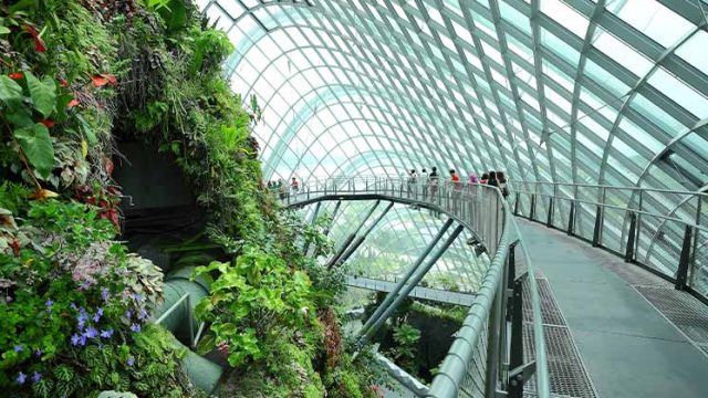 Singapore3
