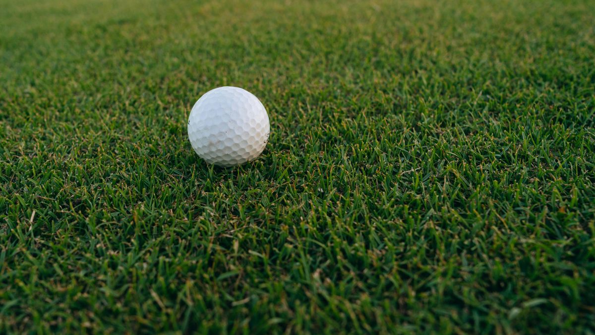 GC15