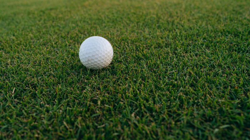 GC15