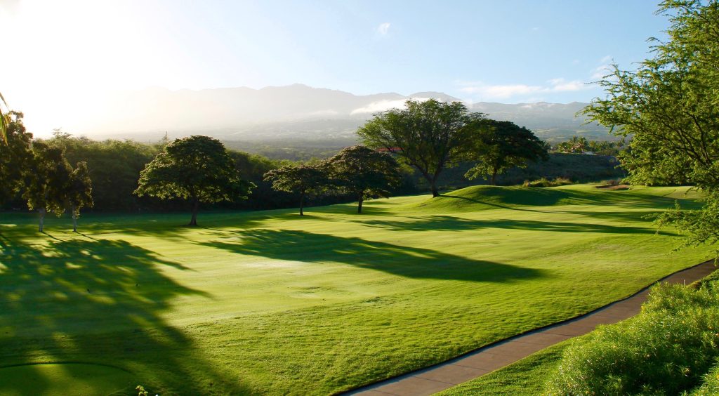 Magenta Shores Country Club