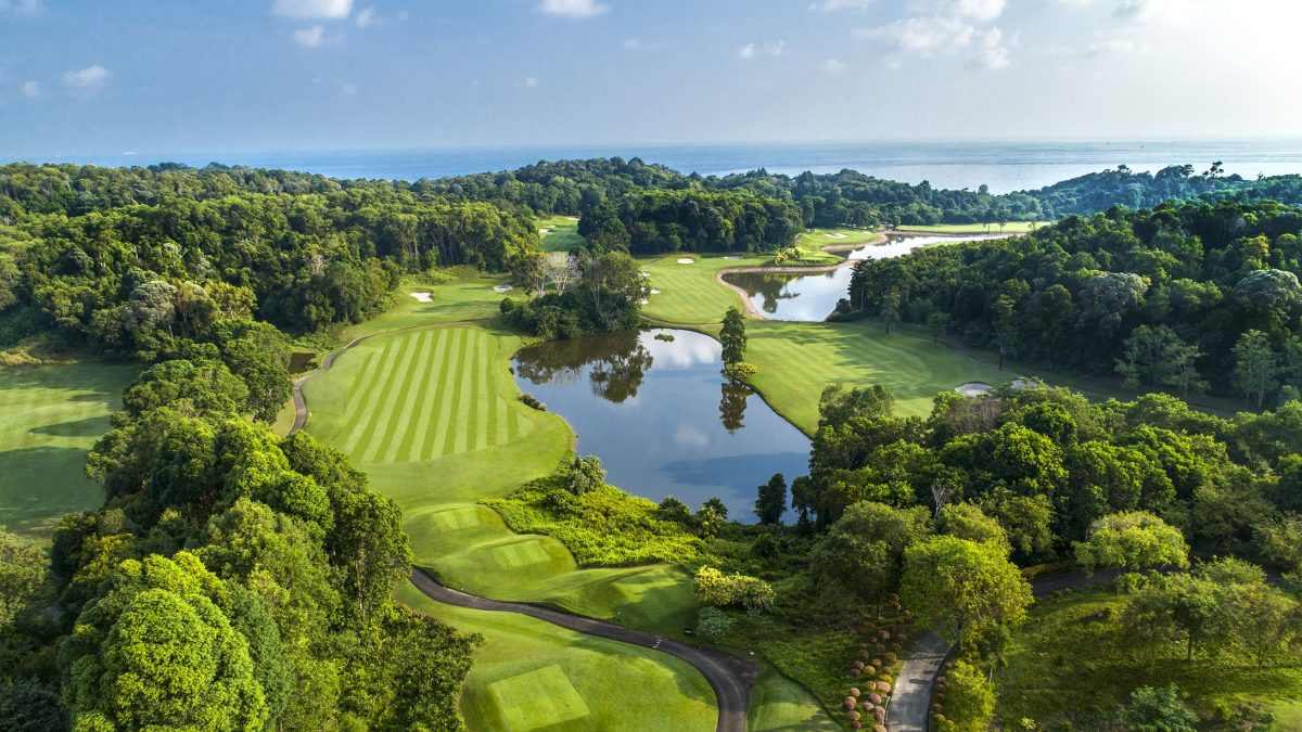 Holes-1-Forest-Ocean-Aerial
