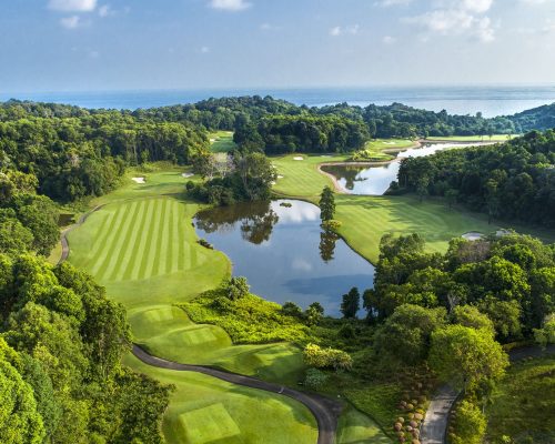 Holes-1-Forest-Ocean-Aerial