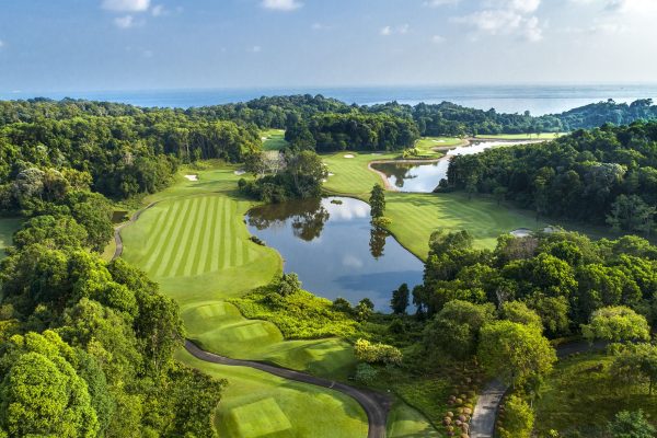 Holes-1-Forest-Ocean-Aerial