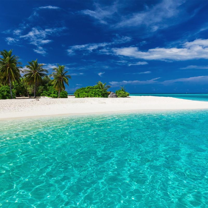 Suva
